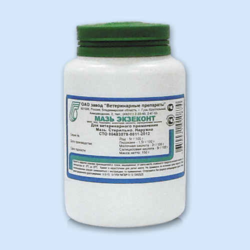 МАЗЬ ЭКЗЕКОНТ