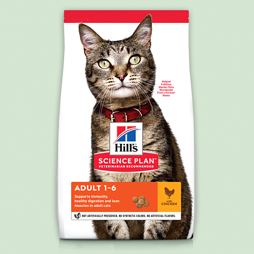 ПОВСЕДНЕВНЫЙ РАЦИОН ДЛЯ ВЗРОСЛЫХ КОШЕК БЕЗ СПЕЦИАЛЬНЫХ ПОТРЕБНОСТЕЙ