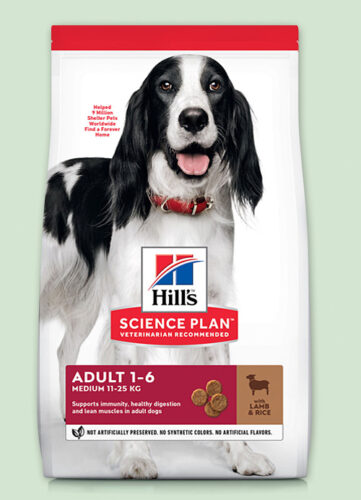 ПОВСЕДНЕВНЫЙ РАЦИОН ДЛЯ ВЗРОСЛЫХ СОБАК СРЕДНИХ ПОРОД