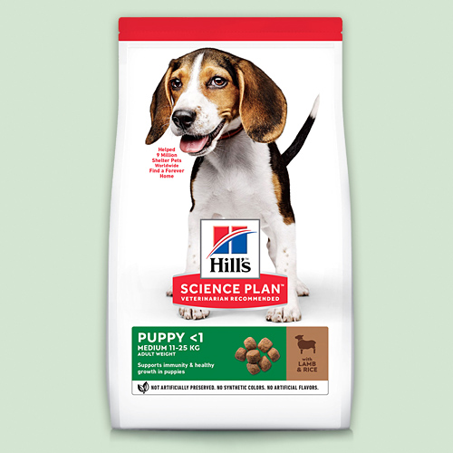 ПОВСЕДНЕВНЫЙ РАЦИОН ДЛЯ ЩЕНКОВ СРЕДНИХ ПОРОД, А ТАКЖЕ БЕРЕМЕННЫХ И ЛАКТИРУЮЩИХ СОБАК