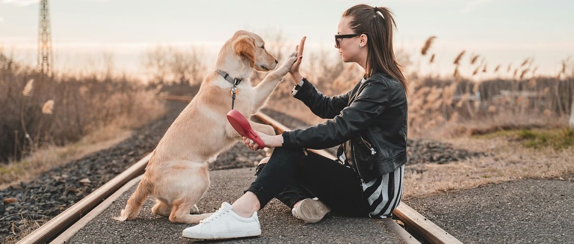 Как собаки влияют на здоровье и образ жизни человека
