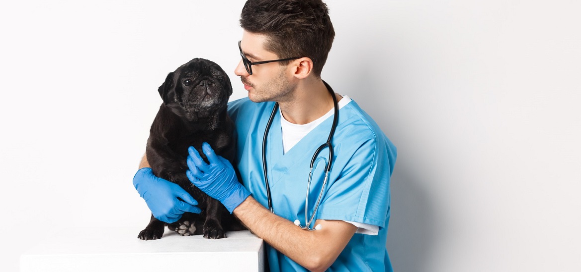 Как определить причину увеличения брюшной полости