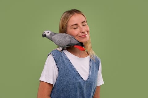 Овощи, фрукты и ягоды для попугаев Овощи, фрукты и ягоды для попугаев