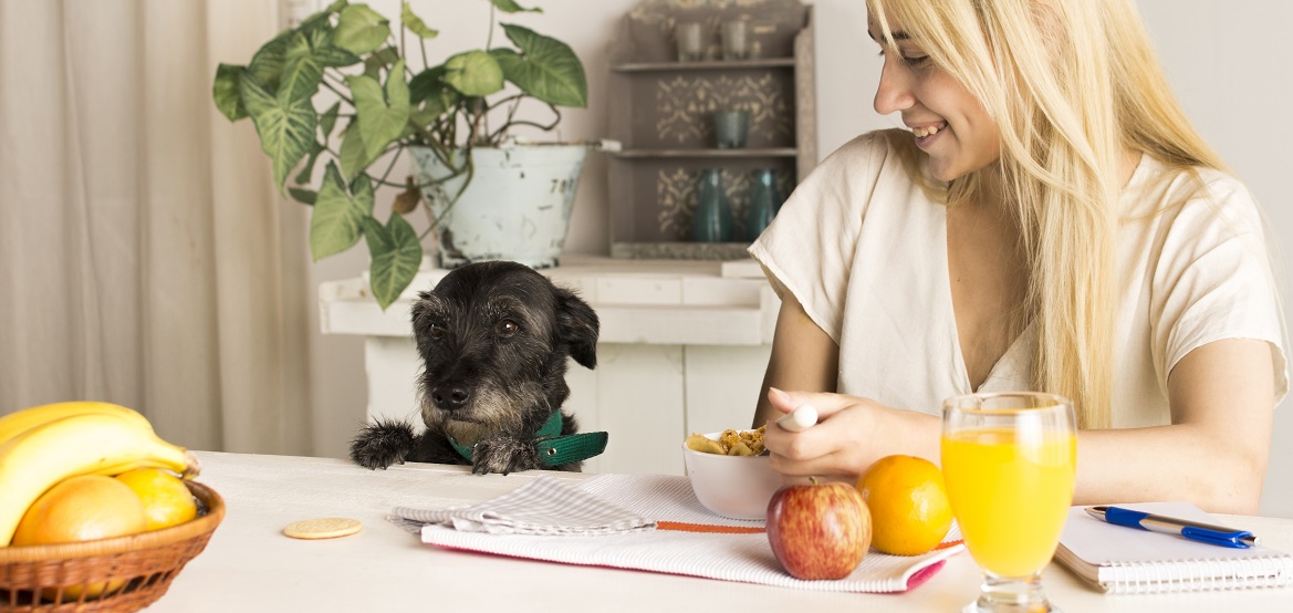 Фрукты для собак