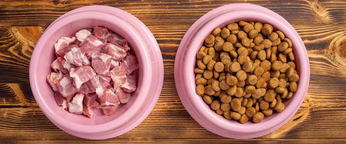 Свинина в составе промышленных кормов для собак