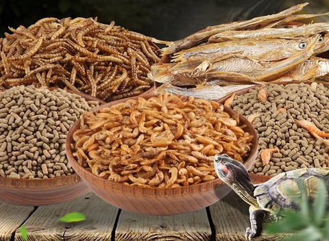 рацион водных черепах