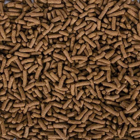 сухие корма для водных черепах