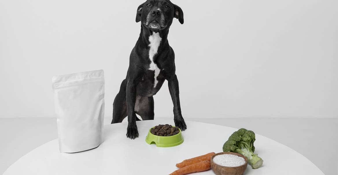 Овощи, которые можно давать собакам