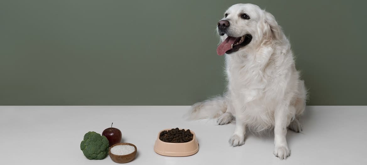 Овощи для собак